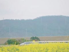 -光明小镇欢乐田园