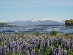 -Pakkhús Restaurant