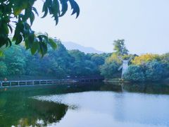 -大屏嶂森林公园