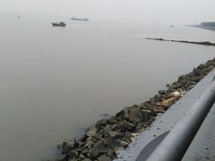 -大湾区中央湿地公园