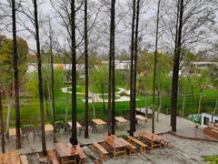 -前小桔亲子创意农场·草莓采摘·露营烧烤