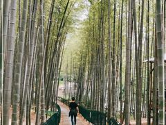 -宝岩生态观光园