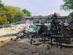 -成都动物园