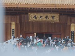 -深圳仙湖植物园-停车场