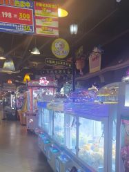 -卡通尼乐园(上海安亭店)