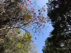 -广州市白云山风景名胜区