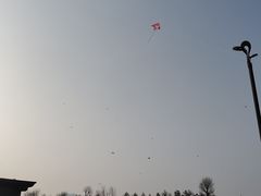 -汉长安城未央宫国家考古遗址公园