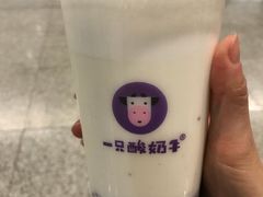-一只酸奶牛(八一路店)