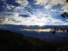 -长虫山生态公园风景林
