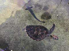 -鸿通城购物中心