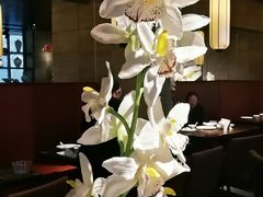 大堂-金枝玉叶上海人家食府(三里河店)