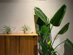 -日出青木·杭帮菜名店