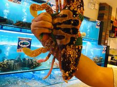 -南海渔家•海鲜•正宗海南菜(海棠湾店)