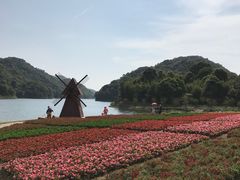 -广州市石门国家森林公园