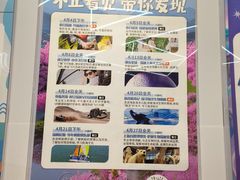 -斯坦星球AI编程·机器人科创·乐高科学·信奥·思维·专注力·STEM·竞赛考级(高新区绿宝广场龙湖狮山天街学习中心)