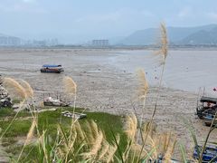 -北岐滩涂