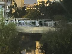 -光明港公园