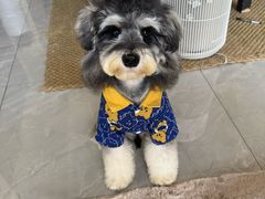 -帕帕拉兹宠物(亚洲旗舰店)