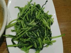 -菩提树·素食餐厅(汇智国际商业中心店)