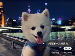 -上海月湖雕塑公园