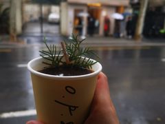-O.P.S. CAFE