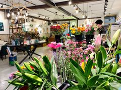 -之悦咖啡馆(新星宇·之洲店)
