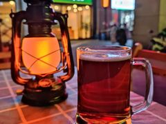 -不误正夜精酿啤酒馆(新华公园店)