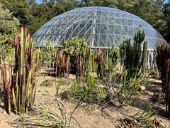 -深圳仙湖植物园