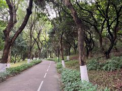 -燕晗山郊野公园