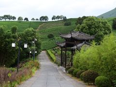 -帐篷客·溪龙茶谷度假酒店