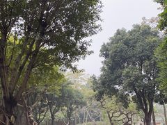 -晓港公园