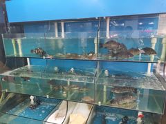 -渔小仙火锅(六一北路店)