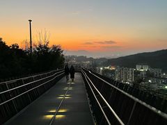 -福道