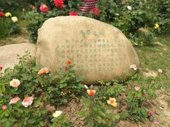 -鹅湖玫瑰文化园