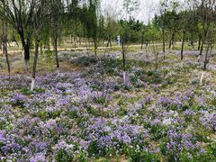 -星巴克(北京惠新东街店)