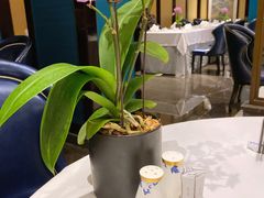-Yan Ting 宴庭中餐厅(上海静安瑞吉酒店)