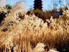 -北京雁栖湖国际会展中心