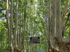 -万达广场(南京江宁店)