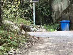 -九峰山