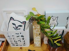 -阿狗圆子