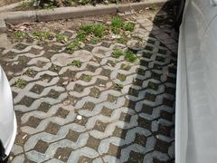 -海门爱心宠物医院