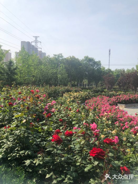 坝河休闲公园图片