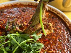 -胖大姐黄辣丁鱼庄(新津店)