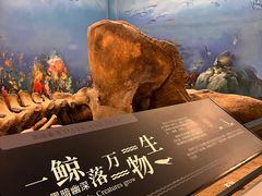 -大连自然博物馆