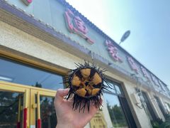 -宾朋海鲜特色美食餐厅·纯手工鲅鱼水饺(兴海路店)