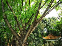 -人民公园(罗湖区)