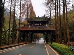 -张醪糟