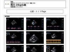 -瑞派宠物医院·24小时骨科·心脏·核磁(哈尔滨南岗店)
