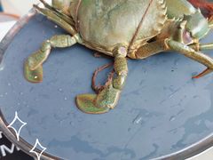 -Ministry of Crab•MOC(交子大道店)