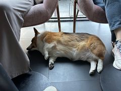 -简象咖啡CAFE ELE JANE(满陇桂雨店)
